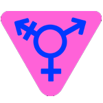 Shemale Sex in Electronic City Escorts